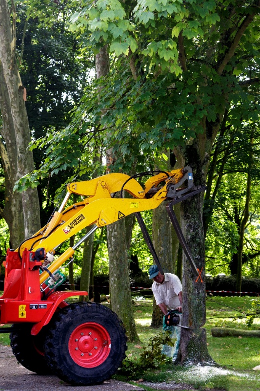 2012-07-30-111237-parc-travaux-OK