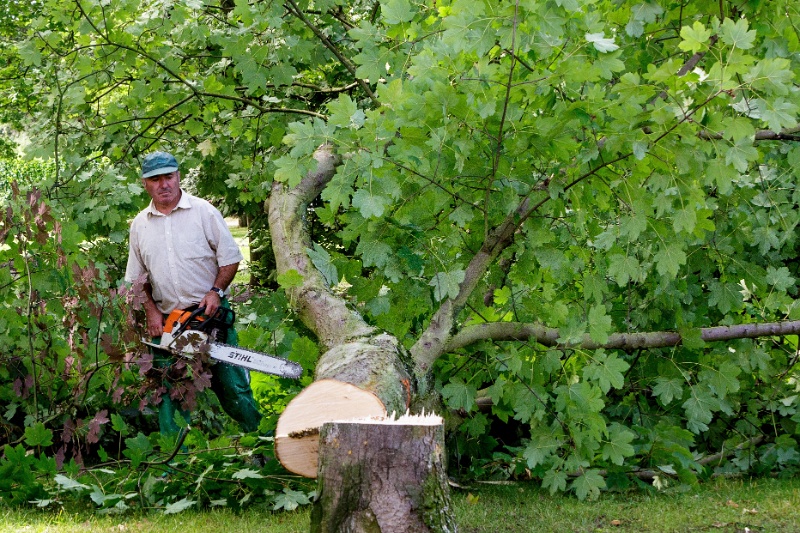 2012-07-30-111416-parc-travaux-OK