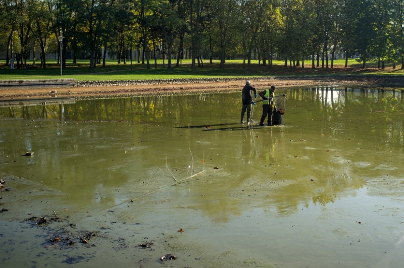 2012-10-31-135953-parc-travaux-OK