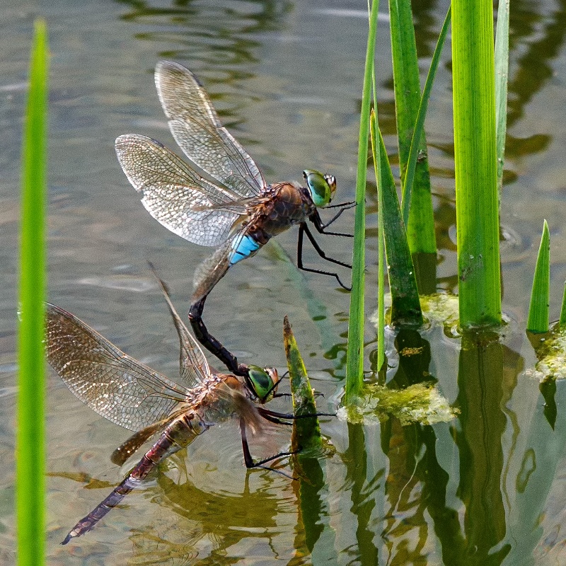 2013-08-08-170140-parc-OK (1)