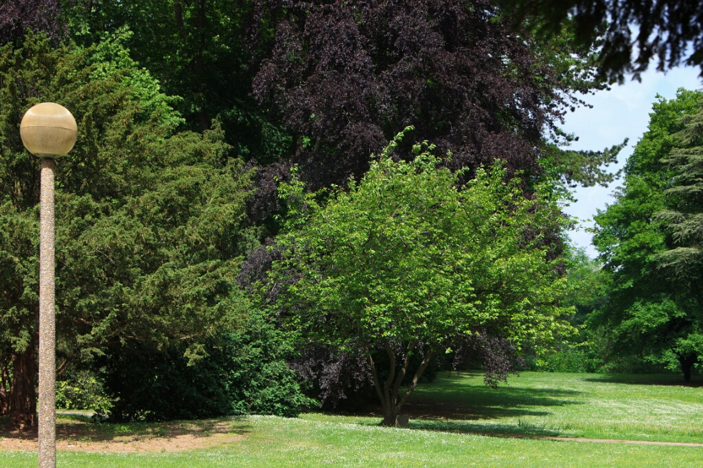 2011-05-08-140529-jouy-parc-OK
