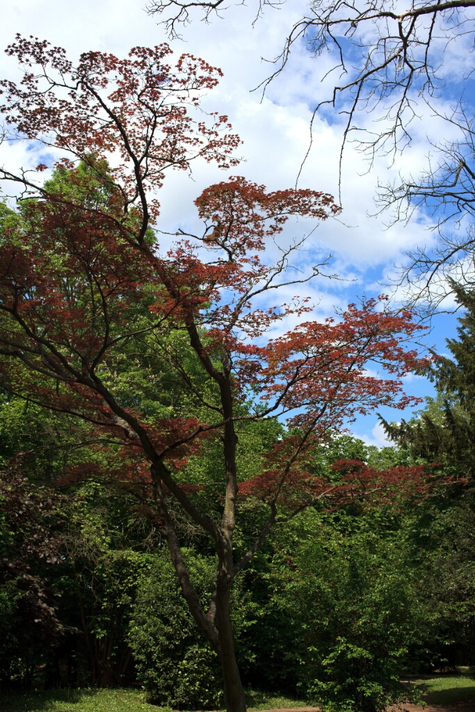 2011-05-08-140954-jouy-parc-OK