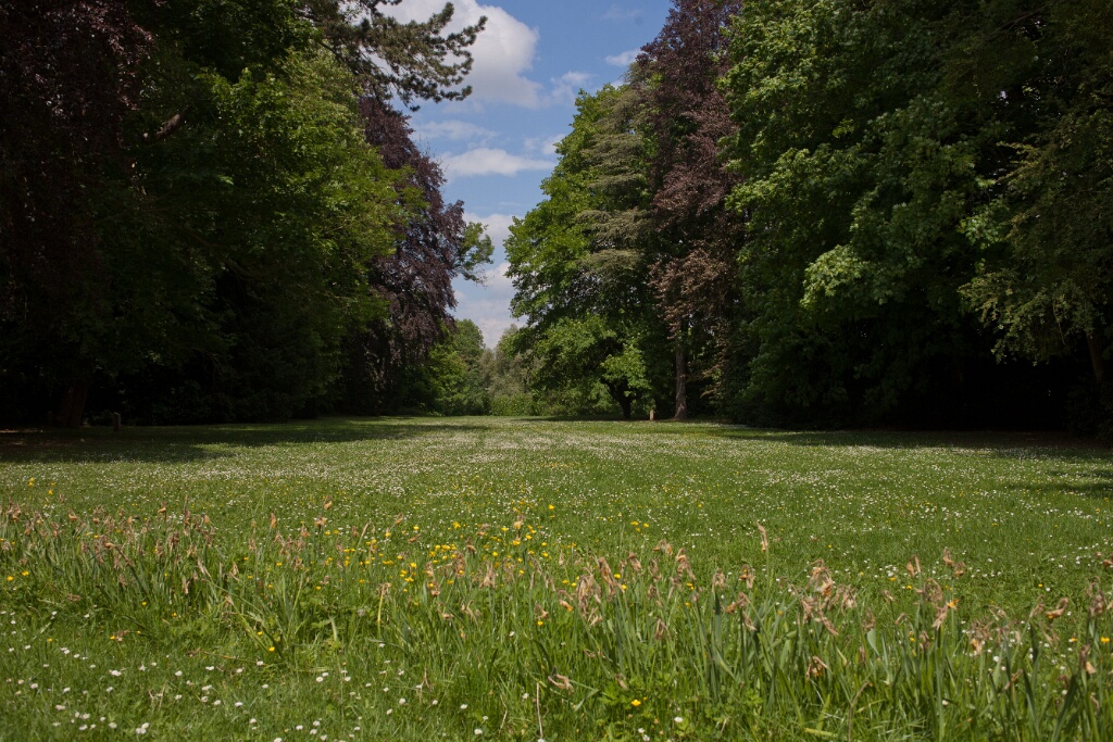 2011-05-08-142148-jouy-parc-OK