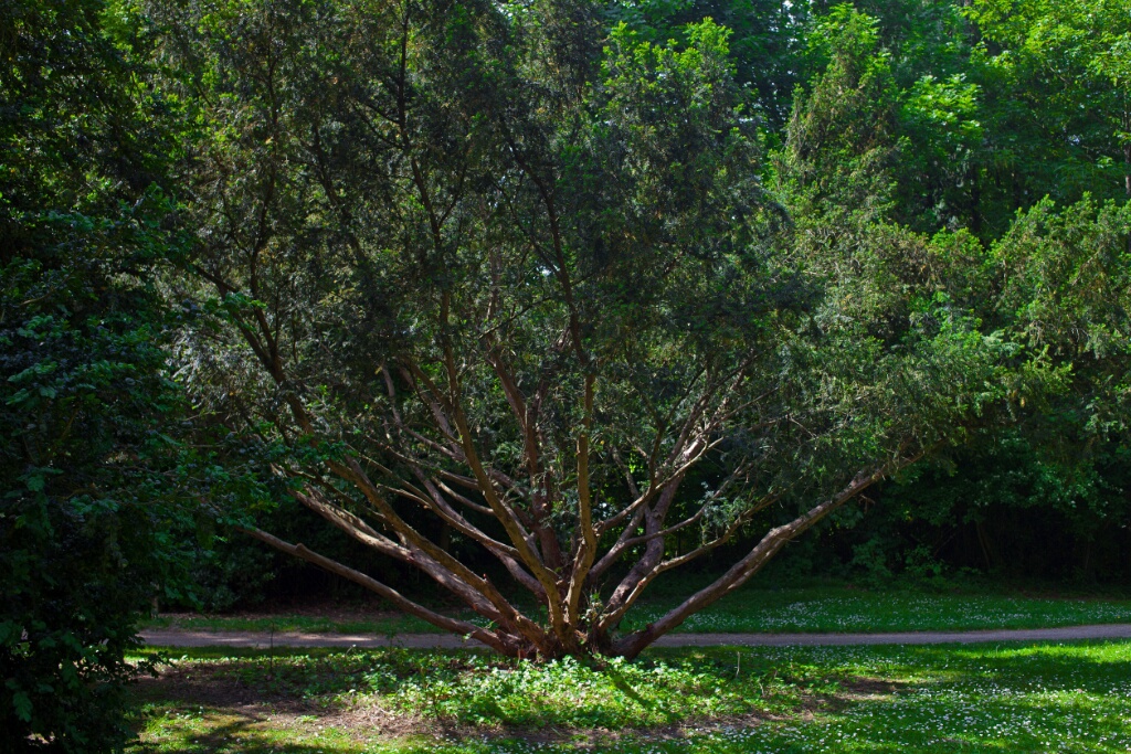 2011-05-08-142224-jouy-parc-OK