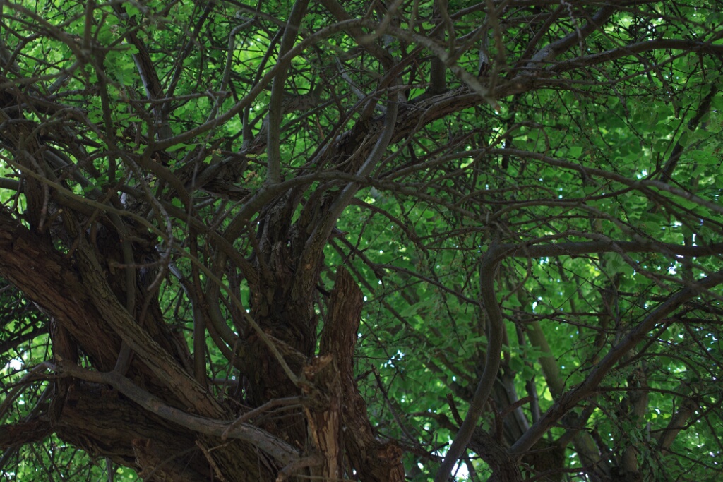 2011-05-08-142940-jouy-parc-OK