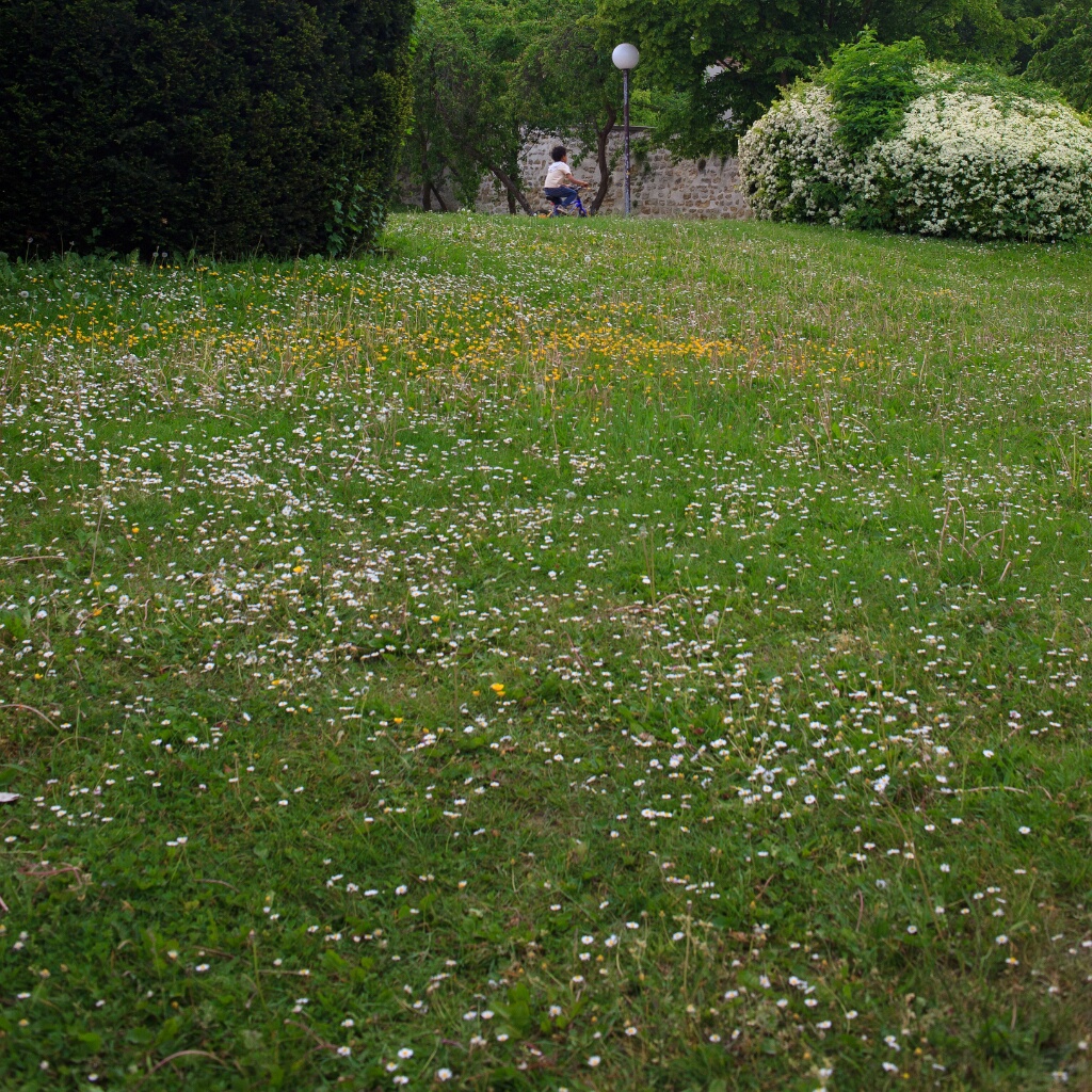 2011-05-08-143800-jouy-parc-OK