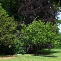 2011-05-08-140529-jouy-parc-OK
