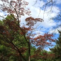 2011-05-08-140954-jouy-parc-OK