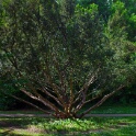 2011-05-08-142224-jouy-parc-OK
