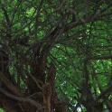 2011-05-08-142940-jouy-parc-OK