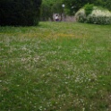 2011-05-08-143800-jouy-parc-OK