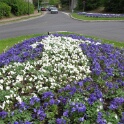 2009-04-cergy-fleche6-OK