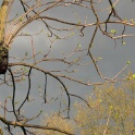 2009-04-pref-OK (16)