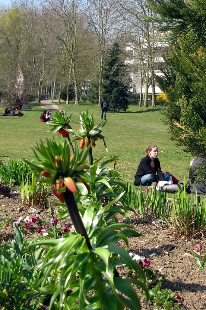 2009-04-agglo (6)