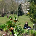 2009-04-agglo (6)