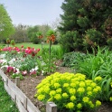 2009-04-pref-OK (5)