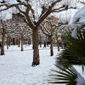 2010-12-20-121553-pref-OK