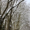 2010-12-20-123253-pref-OK
