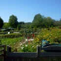 2009-06-27-jardin-OK (24)
