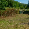 2009-06-27-jardin-OK (3)