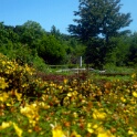 2009-06-27-jardin-OK (30)