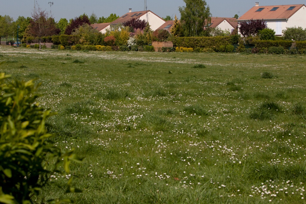 2011-04-18-112539-moissons-OK