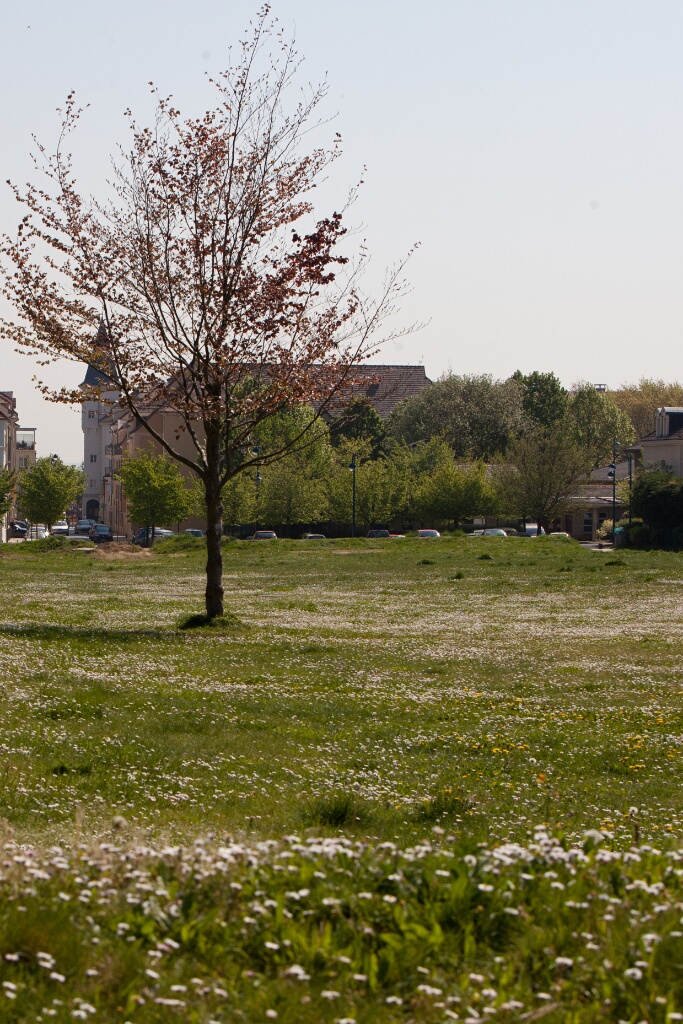 2011-04-18-113052-moissons-OK