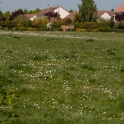 2011-04-18-112539-moissons-OK