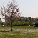 2011-04-18-113052-moissons-OK