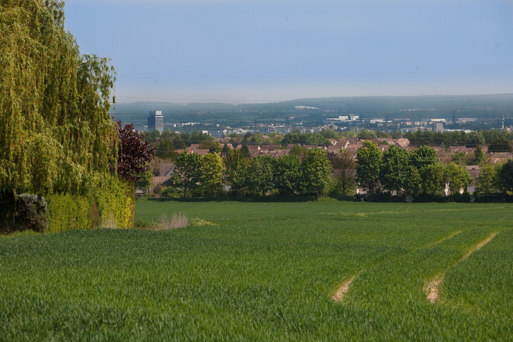 2011-04-19-124913-boisemont-OK