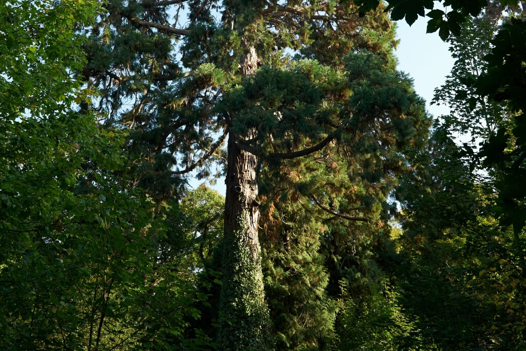2010-10-14-154519-menucourt-OK