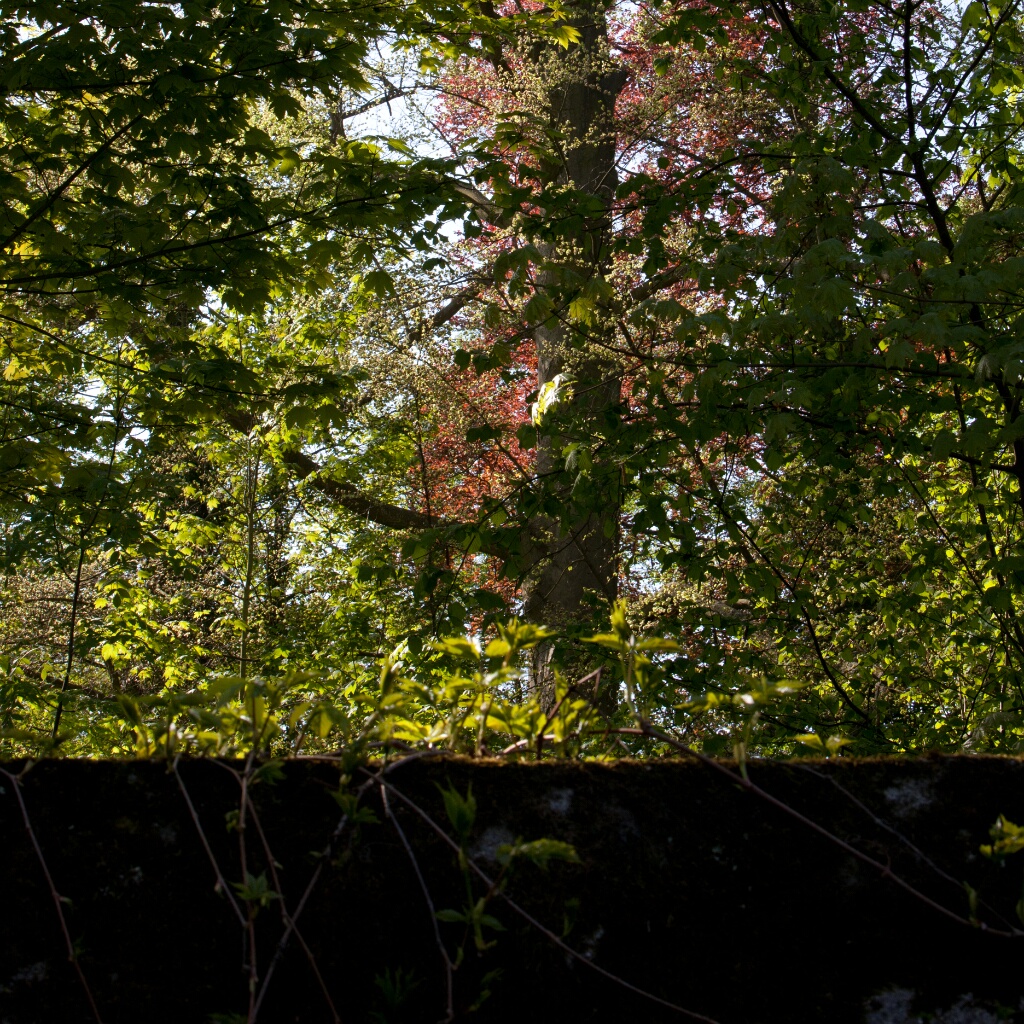 2011-04-18-095946-menucourt-OK