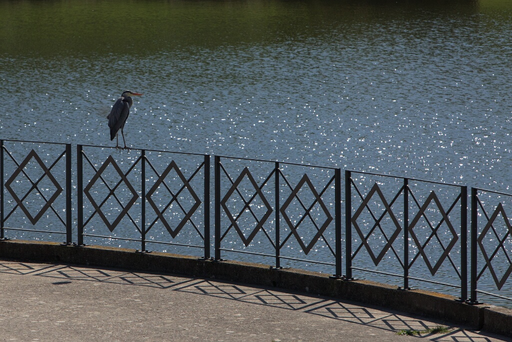 2011-04-18-114949-louviere-OK