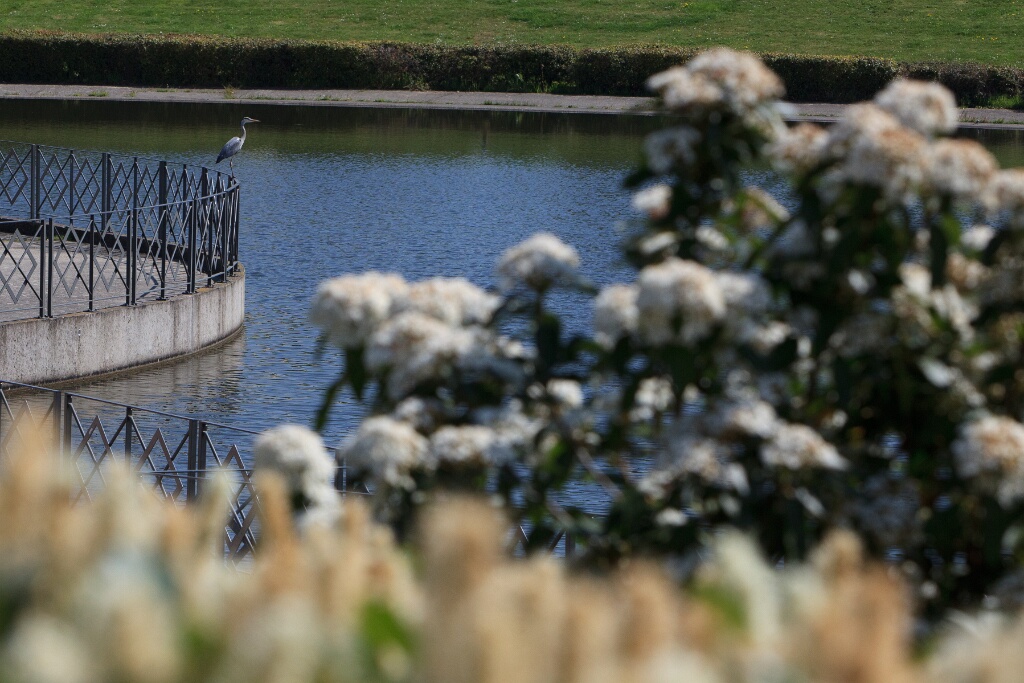 2011-04-18-115054-louviere-OK