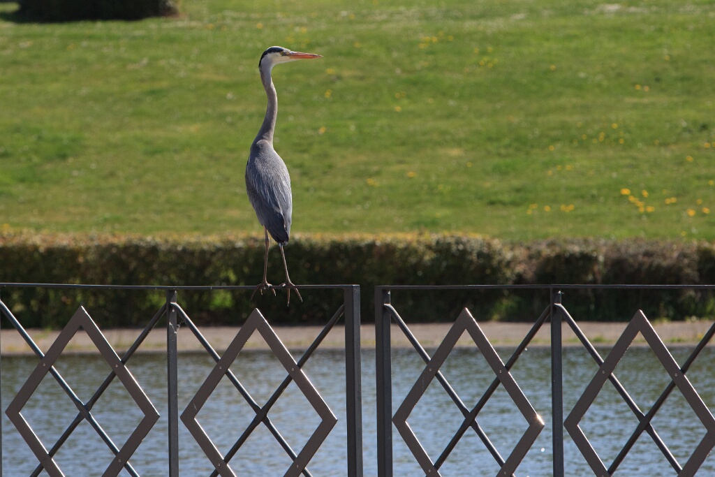 2011-04-18-115306-louviere-OK