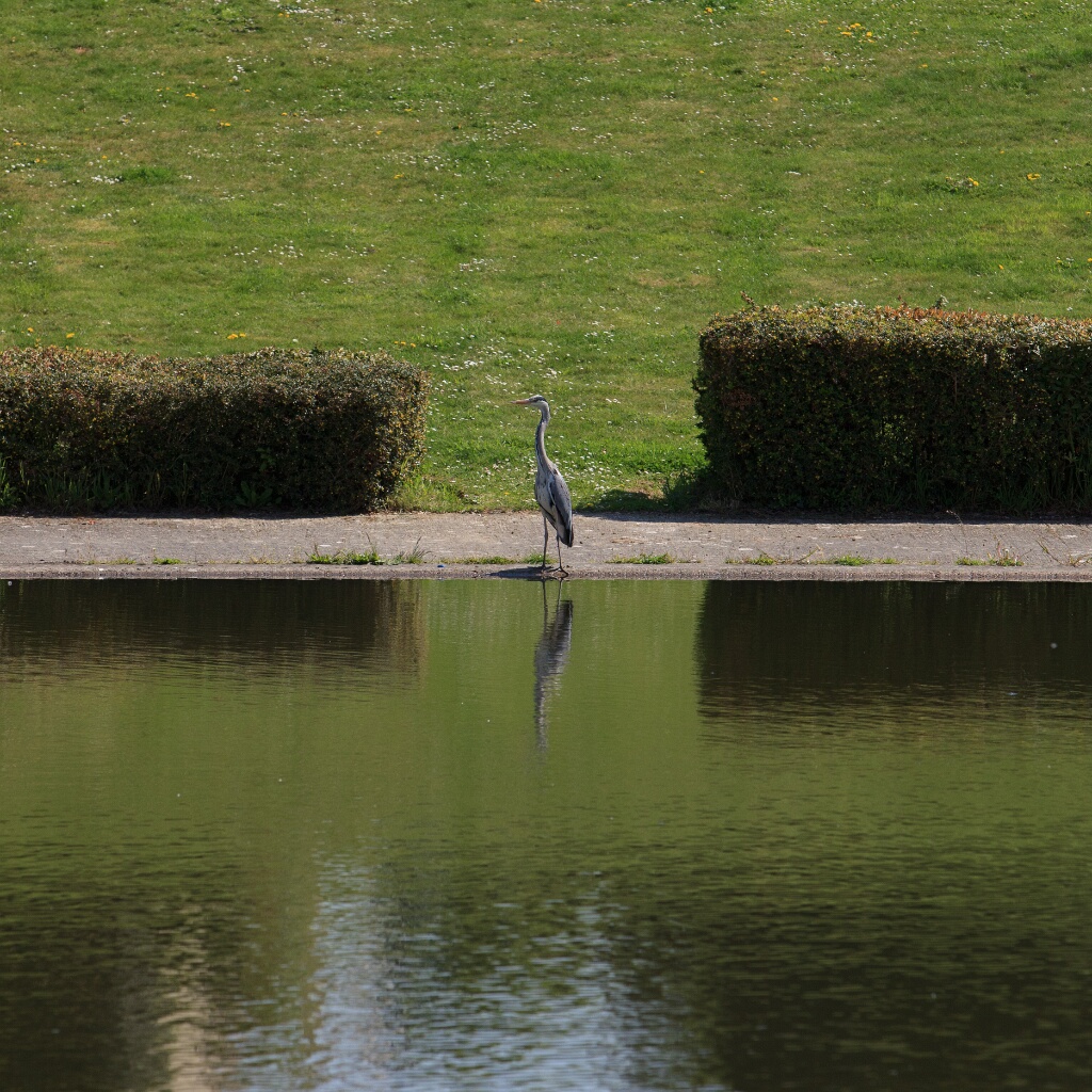 2011-04-18-115423-louviere-OK