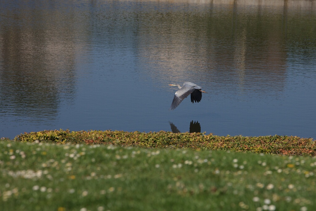 2011-04-18-115849-louviere-OK