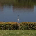 2011-04-18-115834-louviere-OK