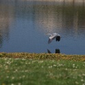2011-04-18-115849-louviere-OK