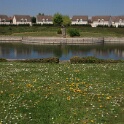 2011-04-18-121912-louviere-OK
