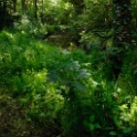 2011-05-12-141847-viosne-OK