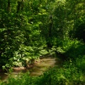 2011-05-12-143225-viosne-OK