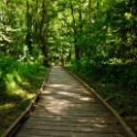 2011-05-12-143944-viosne-OK
