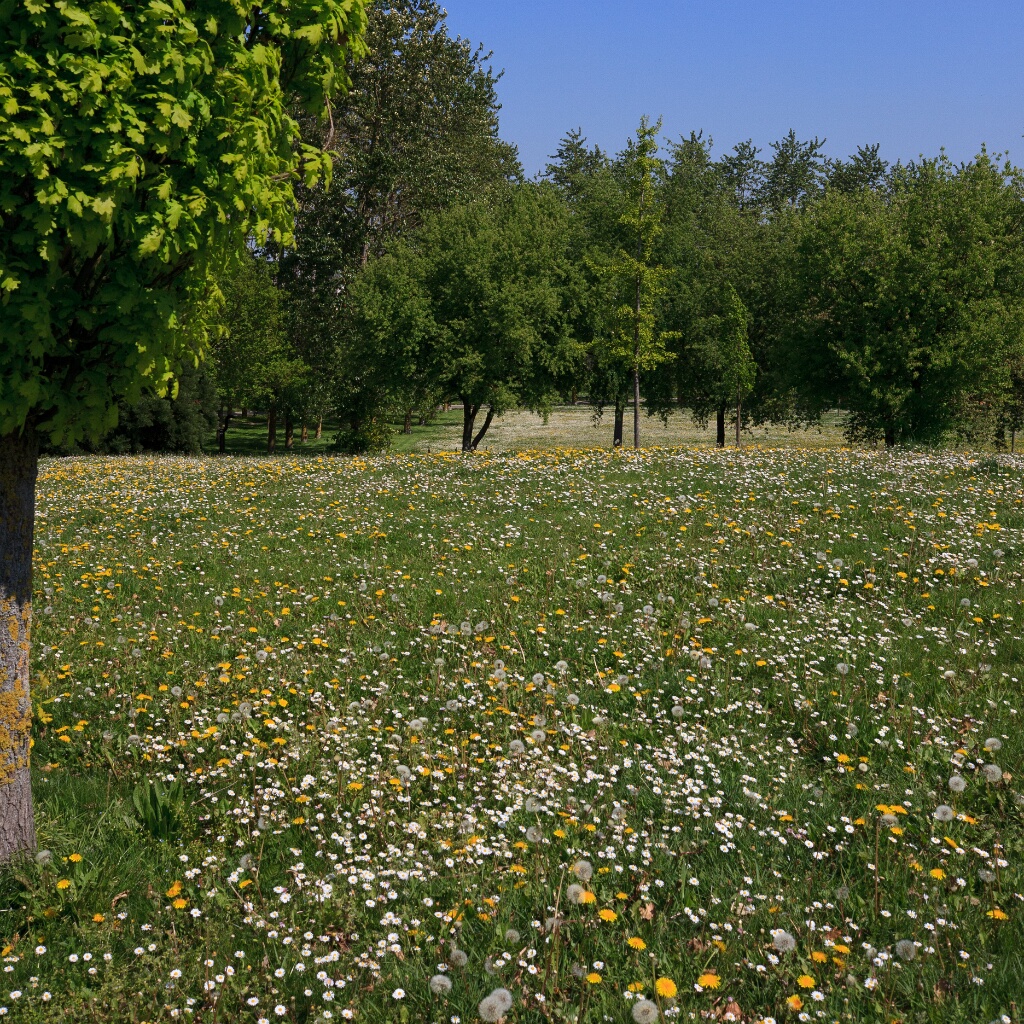 2011-04-18-125010-chat-perche-OK