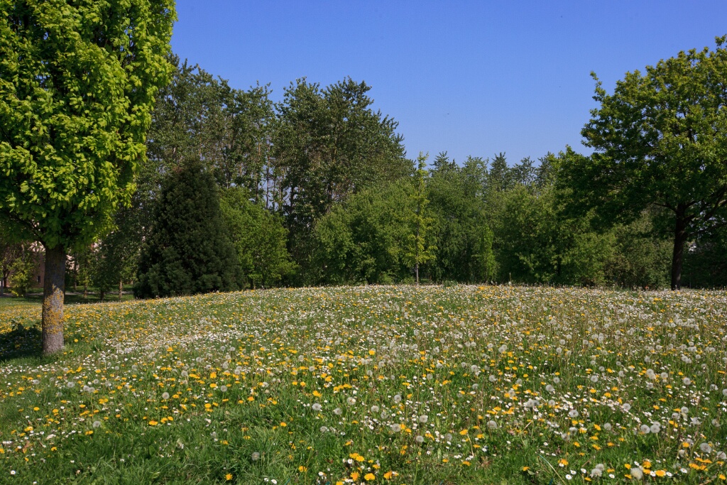 2011-04-18-125027-chat-perche-OK