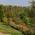 2011-04-18-130220-chat-perche-OK