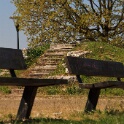 2011-04-18-130235-chat-perche-OK