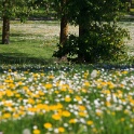 2011-04-18-130629-chat-perche-OK