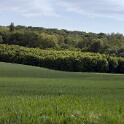 2011-05-09-161531-autil-ecancourt