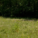 2011-05-09-131914-cote-carriers-OK